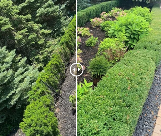 Contender's Tree & Lawn Specialists — photo