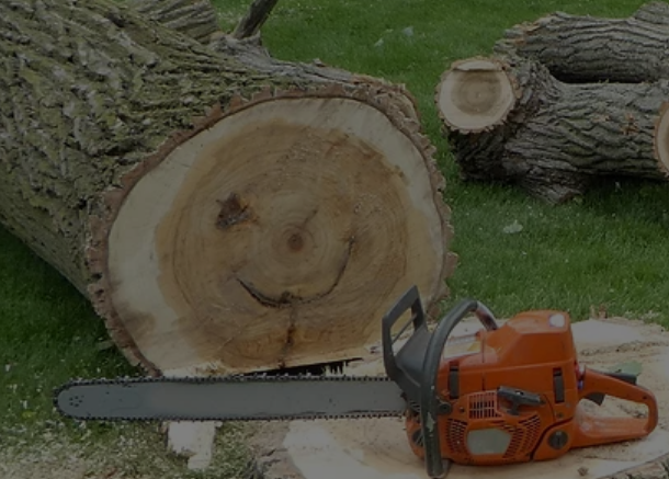 Dendys Landscaping & Tree Removal — photo