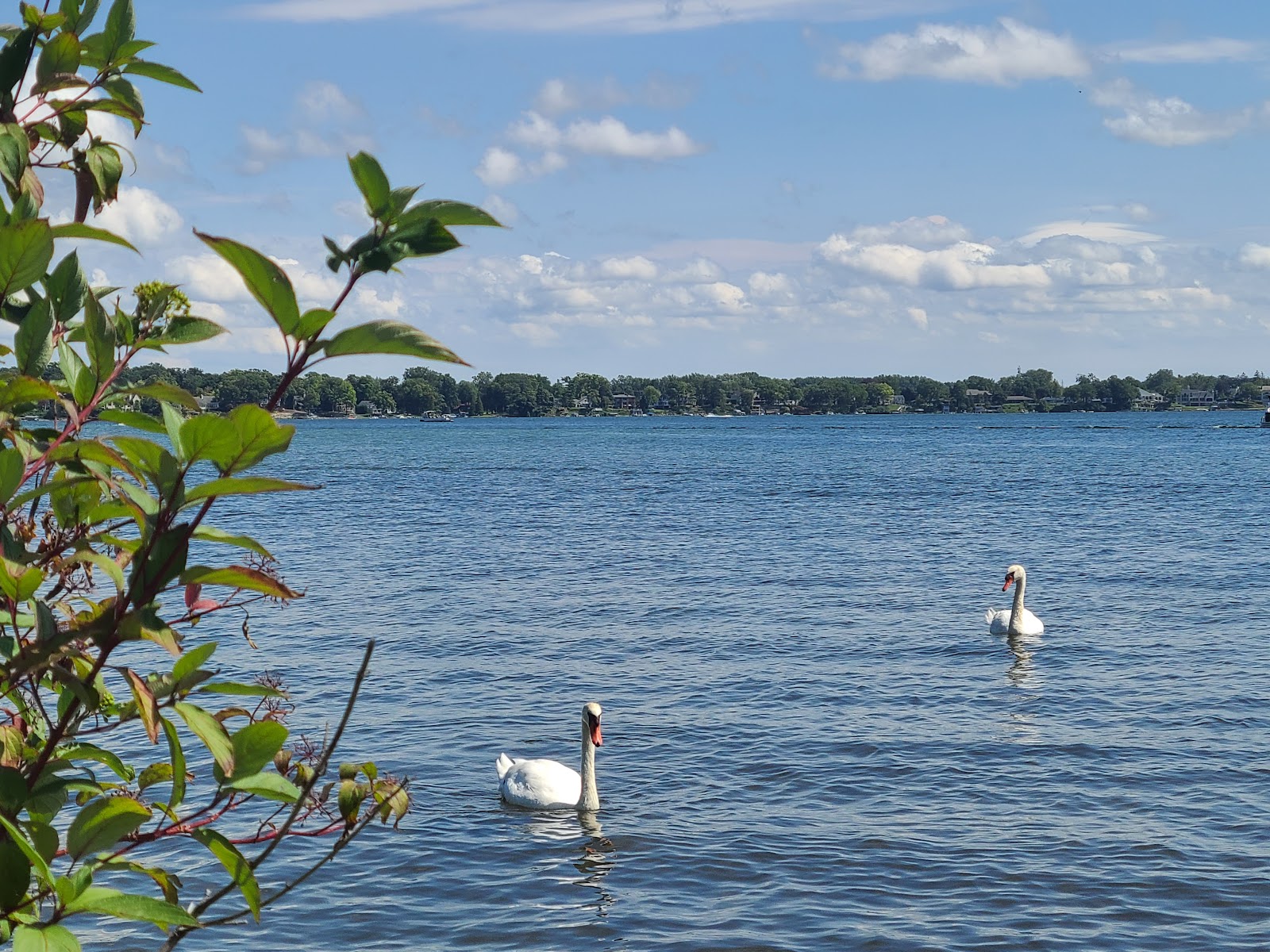 Elizabeth Lake Woods Park in