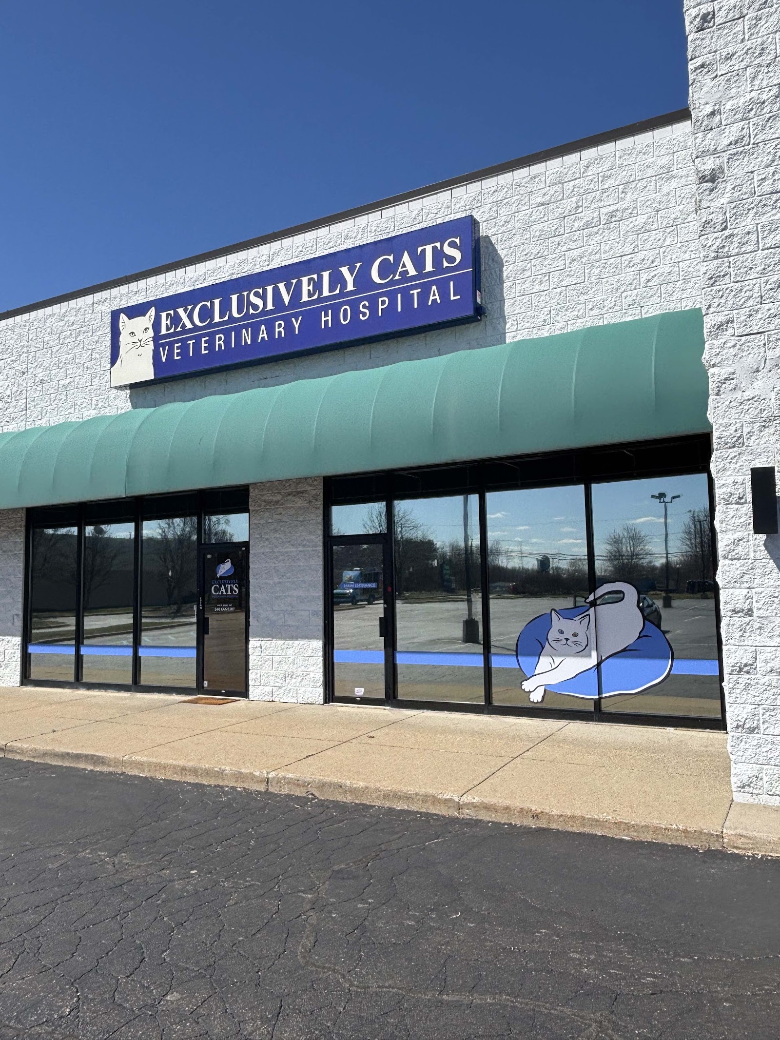 Exclusively Cats Veterinary Hospital — photo