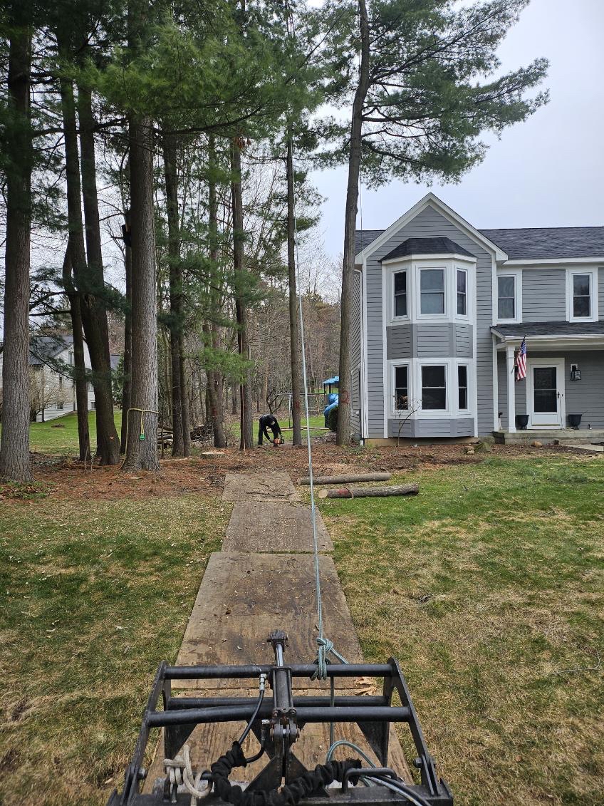 Logans Tree and Landscaping in Waterford Township
