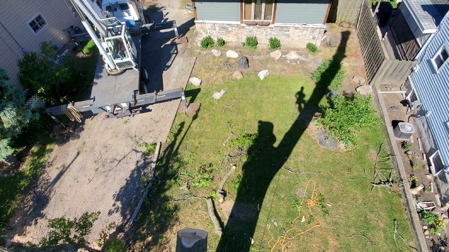 Otto Tree Service LLC in Waterford Township