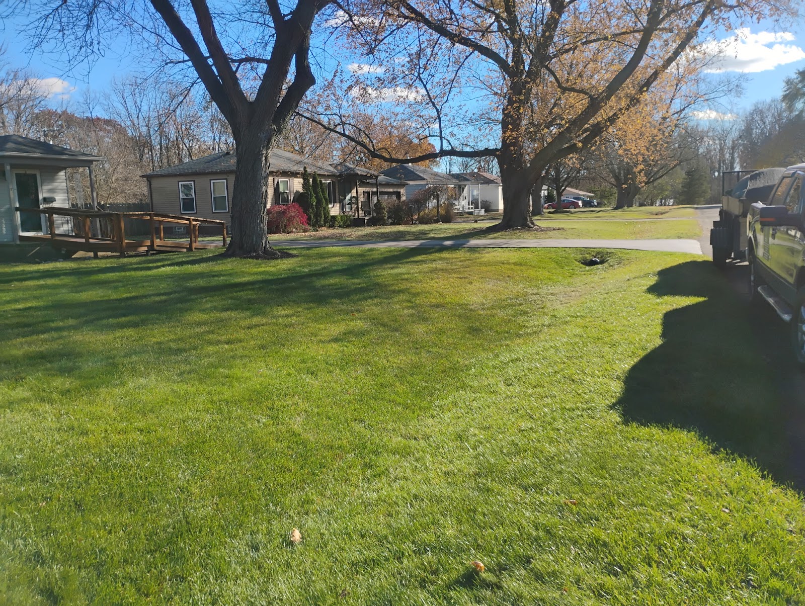 Panda Landscaping Services LLC — photo