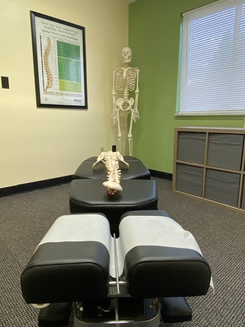 Paul Robinson, Doctor of Chiropractic in Waterford Township