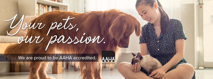 Pet Authority Animal Hospital in Waterford Township