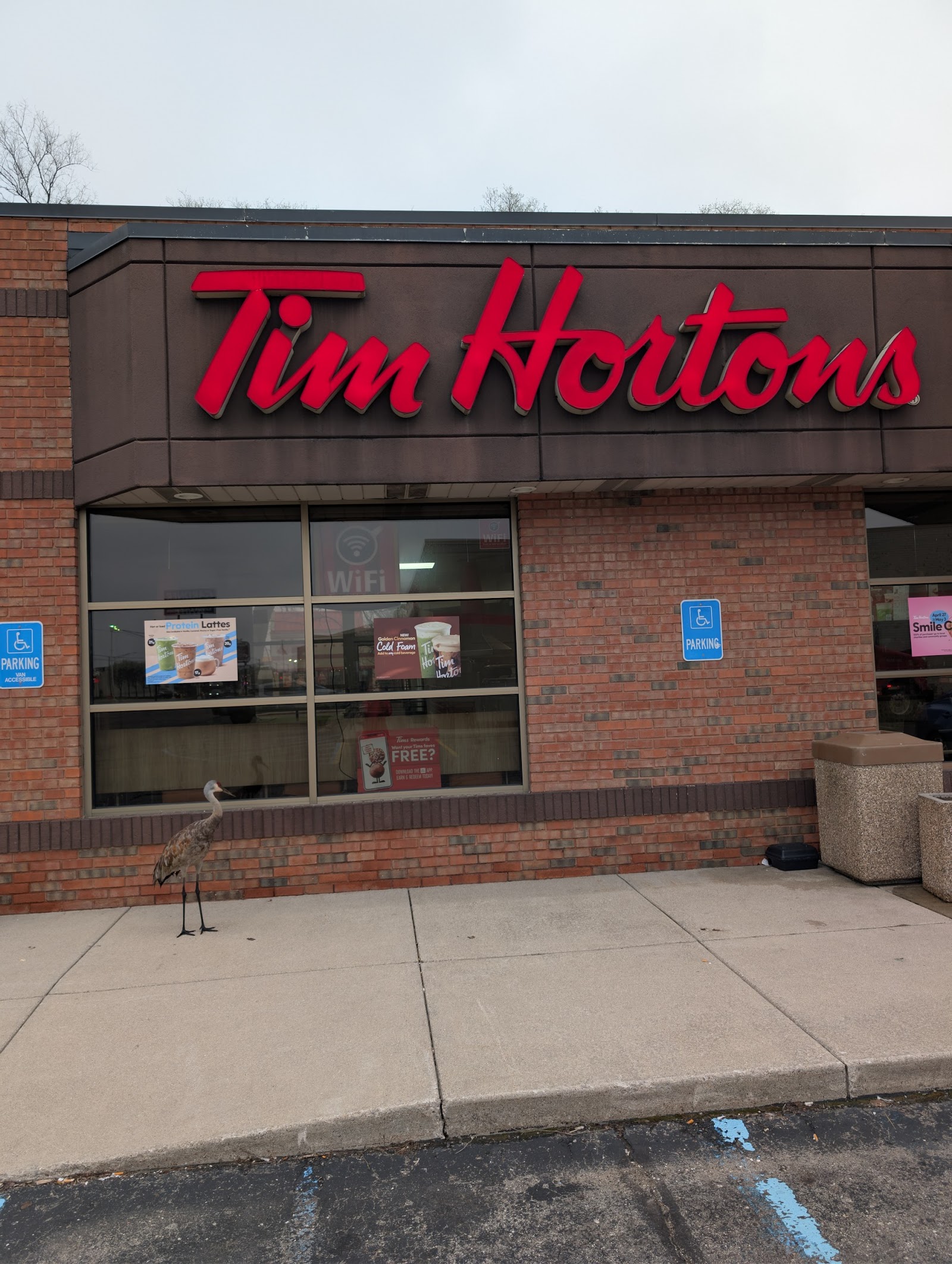 Tim Hortons in Waterford Township